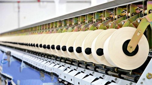 揭秘面料纺织工厂,每周消耗1500吨木材,制作出人们日常穿的裤子